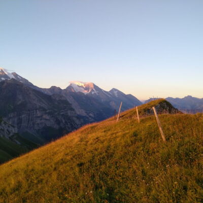 Morgengrauen-Alp-Gumpel Evelyn Funkhouser