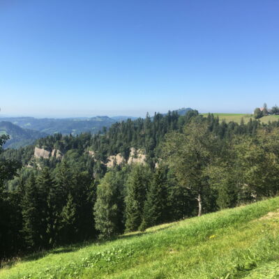 Meine Leidenschaft und die Freude an der Landwirtschaft sind ungebrochen.