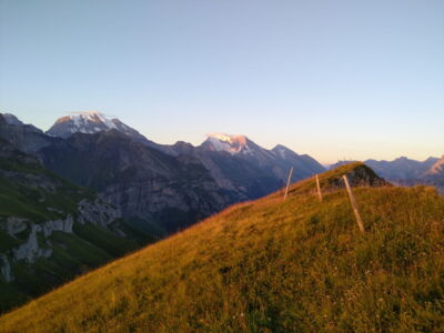 Morgengrauen-Alp-Gumpel Evelyn Funkhouser