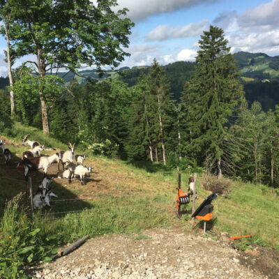 Meine Leidenschaft und die Freude an der Landwirtschaft sind ungebrochen.